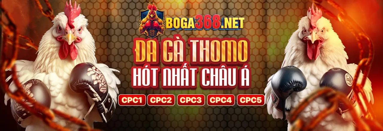 Đá gà trực tuyến sôi động tại NK88