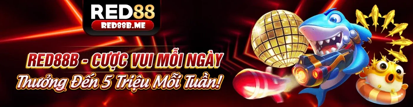 Cá cược trực tiếp và xem trận đấu tại NK88